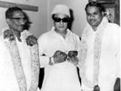 AYYA SDS